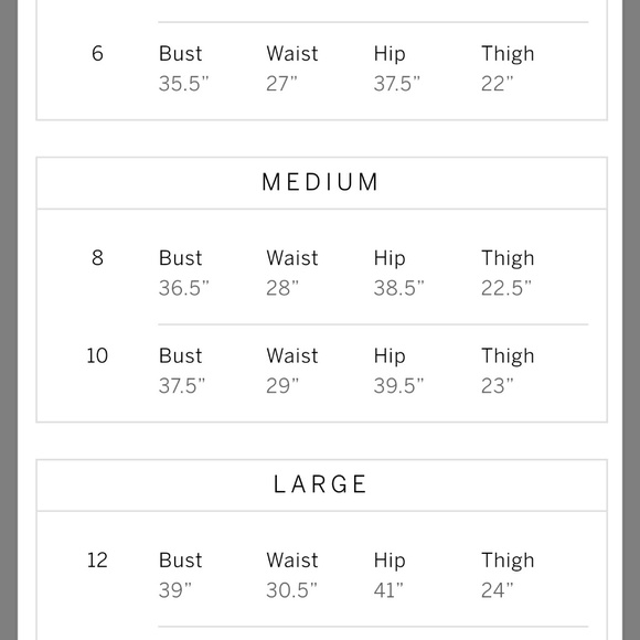 NIP VS Chantilly Large Lace & Satin Midi Slip - Picture 5 of 5